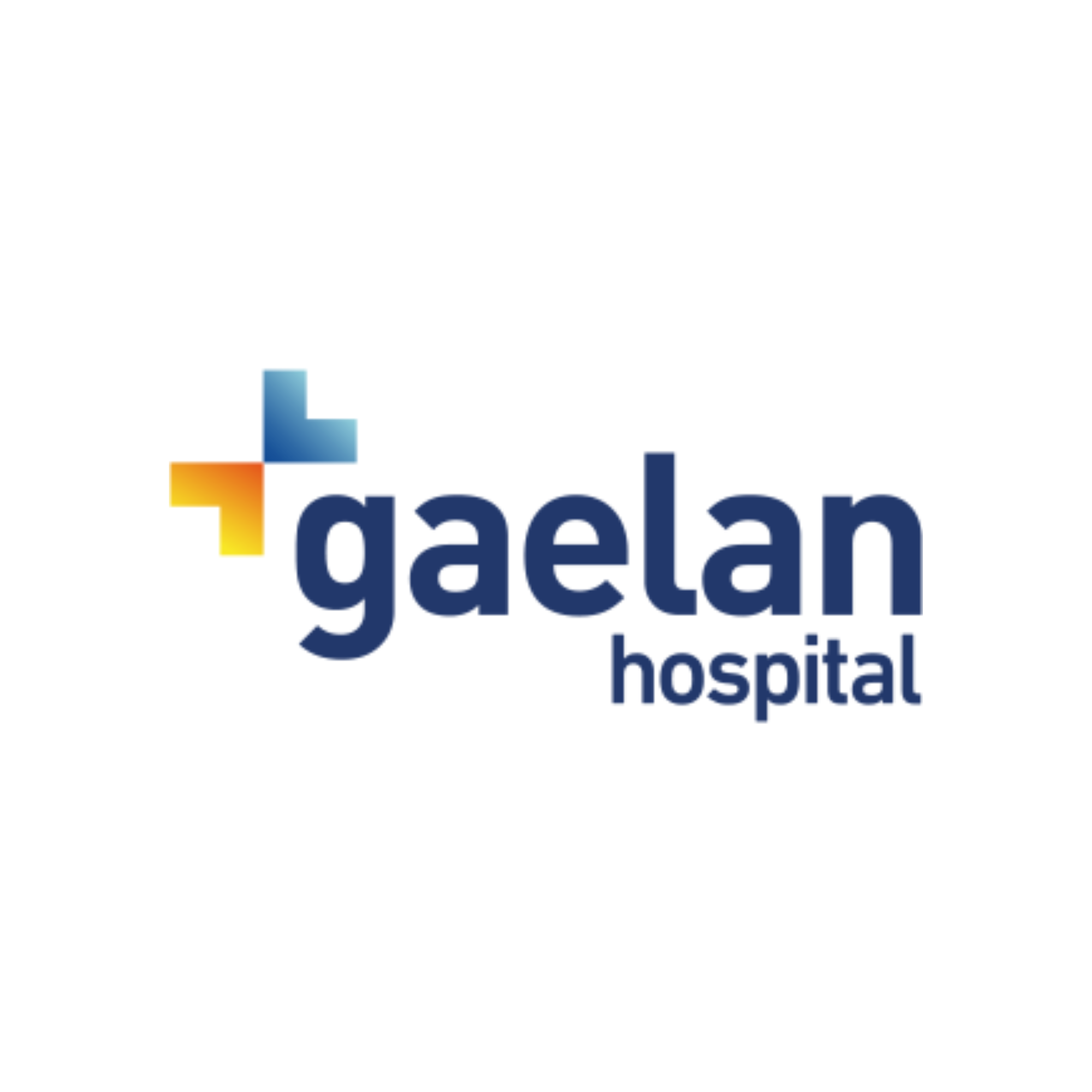 Gaelan Hospital logo